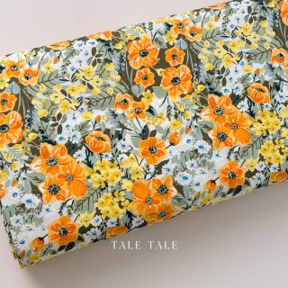 AGF 美國品牌 現貨布